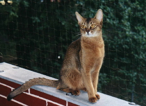 Endlich darf ich auf meinen Balkon