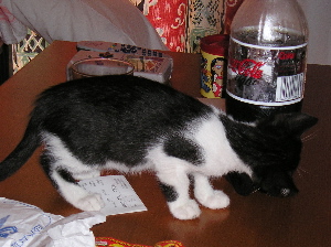 Mmmhhh, Cola