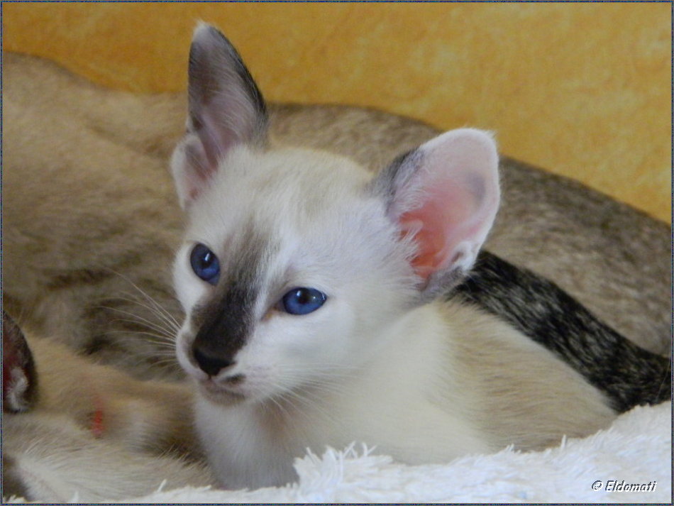 Josefine mit tollen blauen Augen