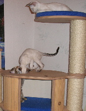 Elton, Energy und Twister