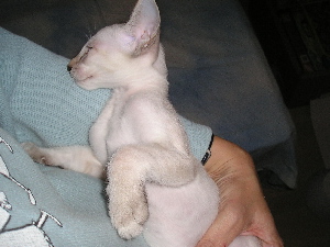 Einstein in meinem Arm