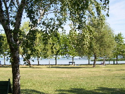 Balatonfenyves